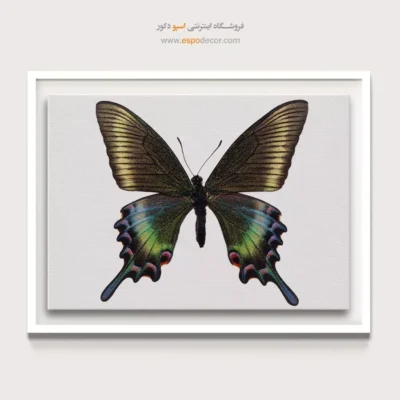 تابلو پروانه - اسپو دکور