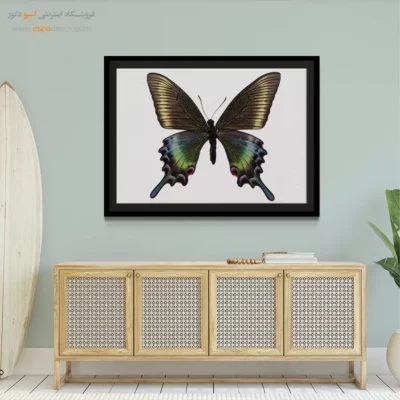 تابلو پروانه - اسپو دکور
