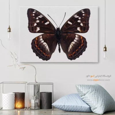 تابلو پروانه - اسپو دکور