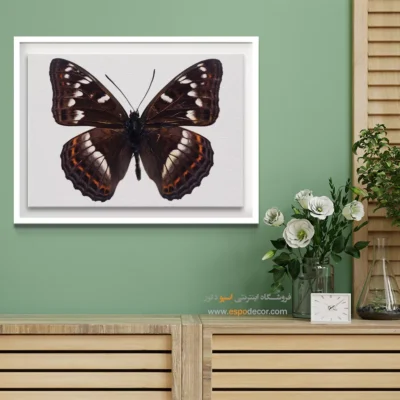 تابلو پروانه - اسپو دکور