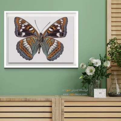 تابلو پروانه - اسپو دکور