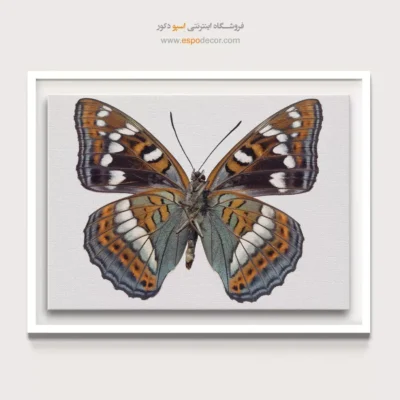 تابلو پروانه - اسپو دکور