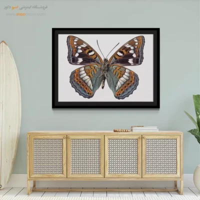 تابلو پروانه - اسپو دکور