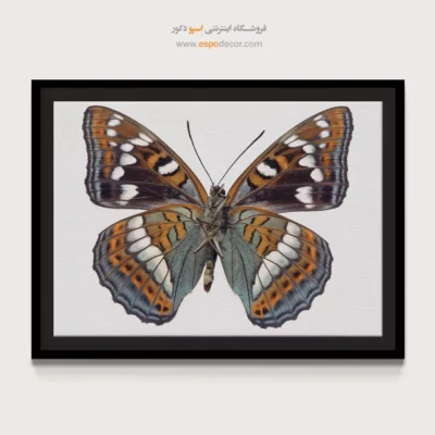 تابلو پروانه - اسپو دکور