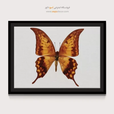 تابلو پروانه - اسپو دکور