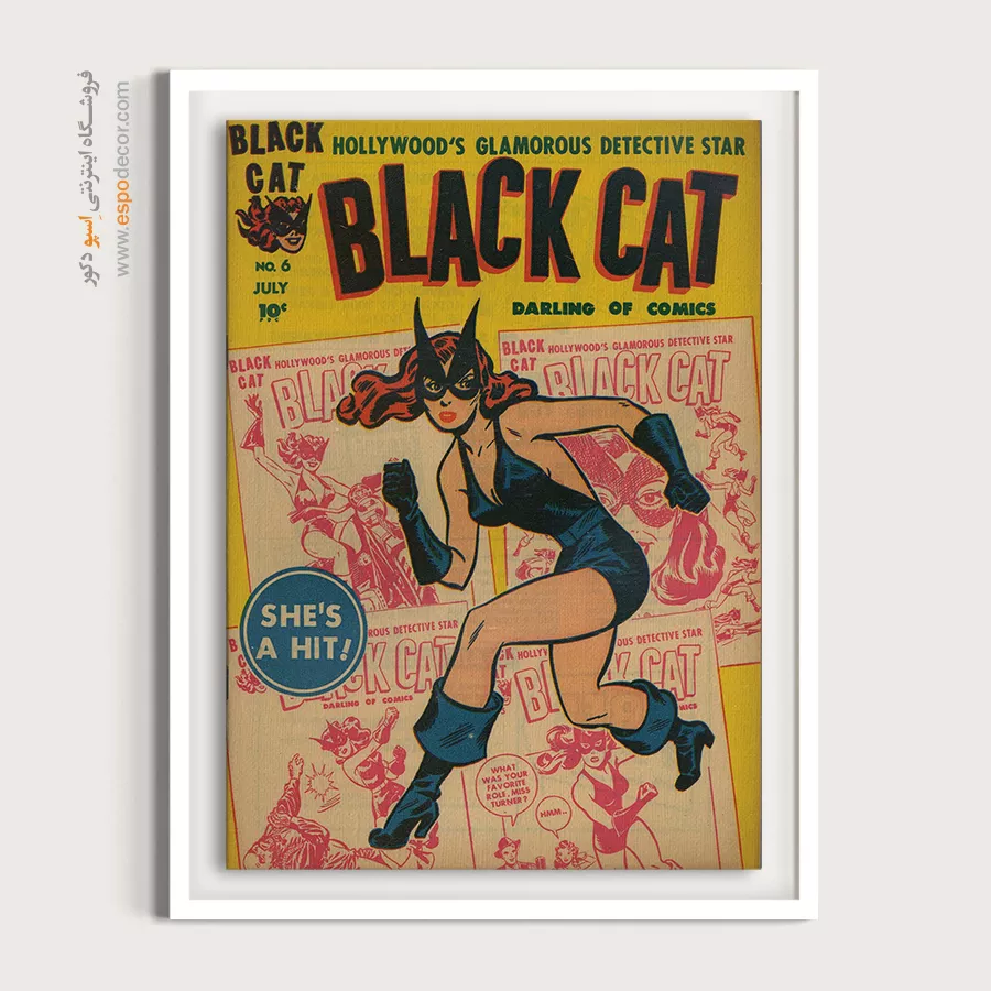 کمیک کلاسیک آمریکایی - گربه سیاه شماره 6 – تابلو مجلات کمیک - اسپو دکور