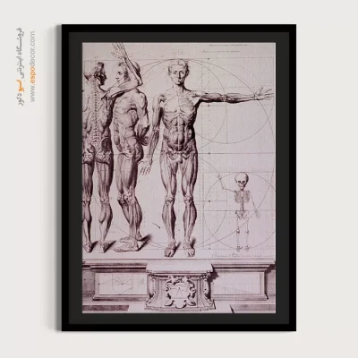 تابلو نقاشی های داوینچی - اسپو دکور