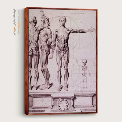 تابلو نقاشی های داوینچی - اسپو دکور