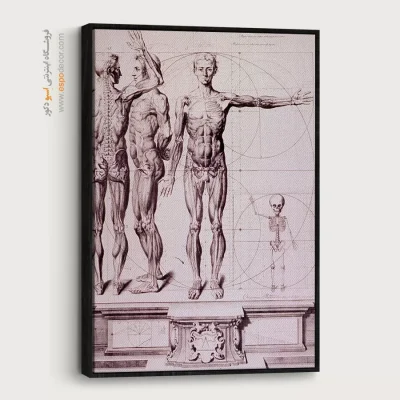 تابلو نقاشی های داوینچی - اسپو دکور