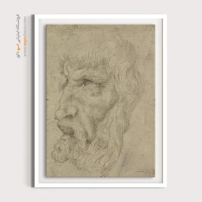 تابلو نقاشی های داوینچی - اسپو دکور