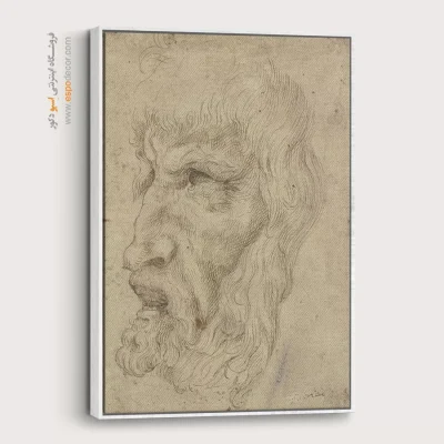 تابلو نقاشی های داوینچی - اسپو دکور