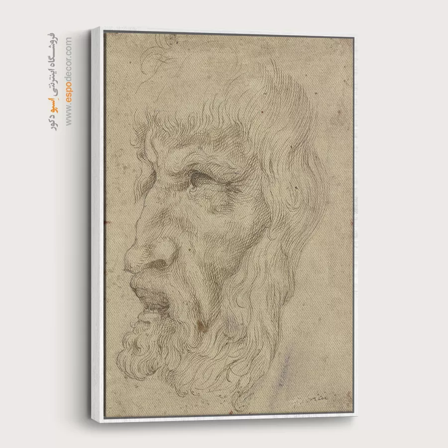 تابلو نقاشی های داوینچی - اسپو دکور