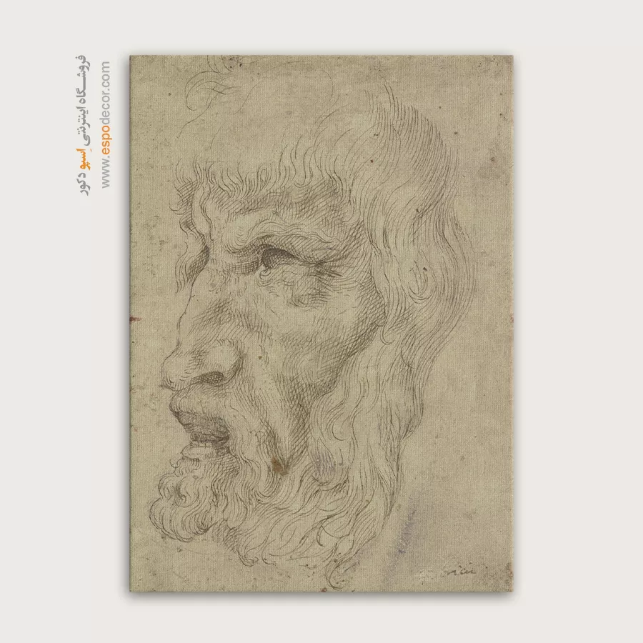 تابلو نقاشی های داوینچی - اسپو دکور