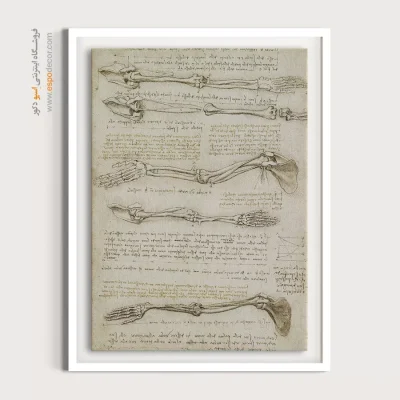 تابلو نقاشی های داوینچی - اسپو دکور