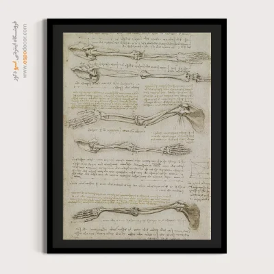 تابلو نقاشی های داوینچی - اسپو دکور