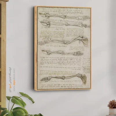 تابلو نقاشی های داوینچی - اسپو دکور