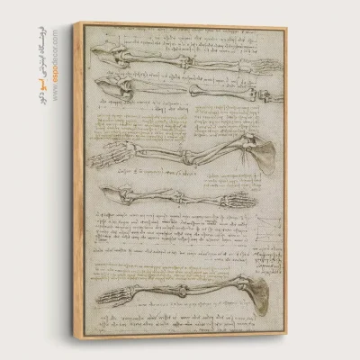 تابلو نقاشی های داوینچی - اسپو دکور