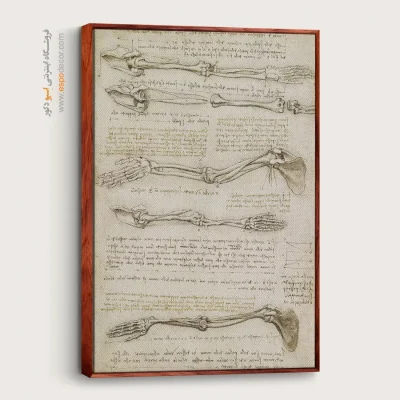 تابلو نقاشی های داوینچی - اسپو دکور