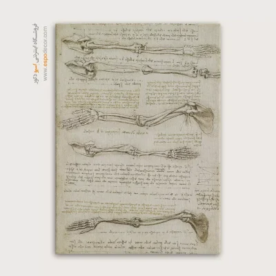 تابلو نقاشی های داوینچی - اسپو دکور