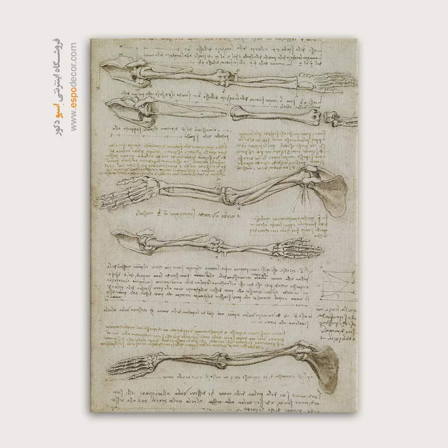 تابلو نقاشی های داوینچی - اسپو دکور