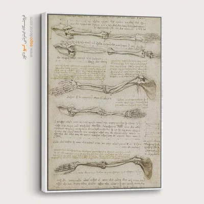 تابلو نقاشی های داوینچی - اسپو دکور