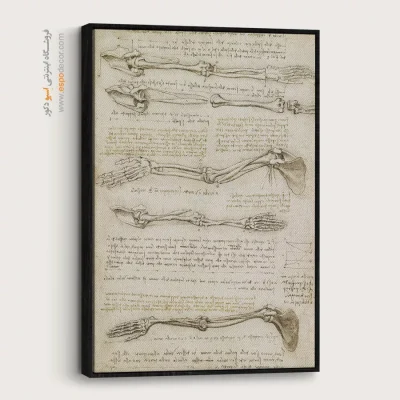 تابلو نقاشی های داوینچی - اسپو دکور