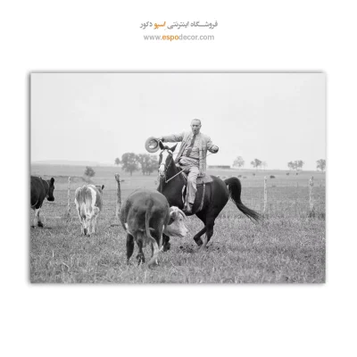 تابلو عکسهای مشهور
