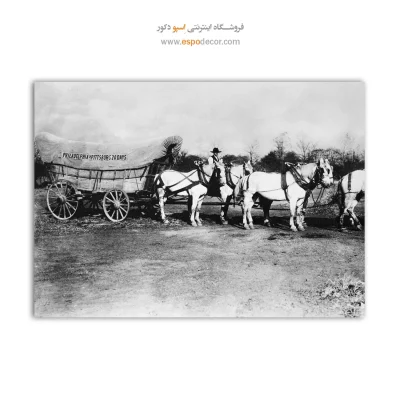 تابلو عکسهای مشهور
