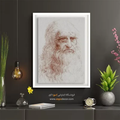 خرید تابلو مینیمال چهره هنری برای پذیرایی - داوینچی – تابلو چهره - اسپو دکور