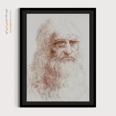 خرید تابلو مینیمال چهره هنری برای پذیرایی - داوینچی – تابلو چهره - اسپو دکور
