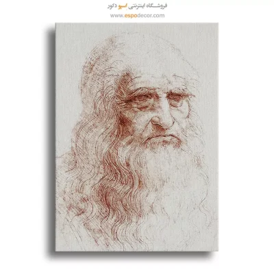 خرید تابلو مینیمال چهره هنری برای پذیرایی