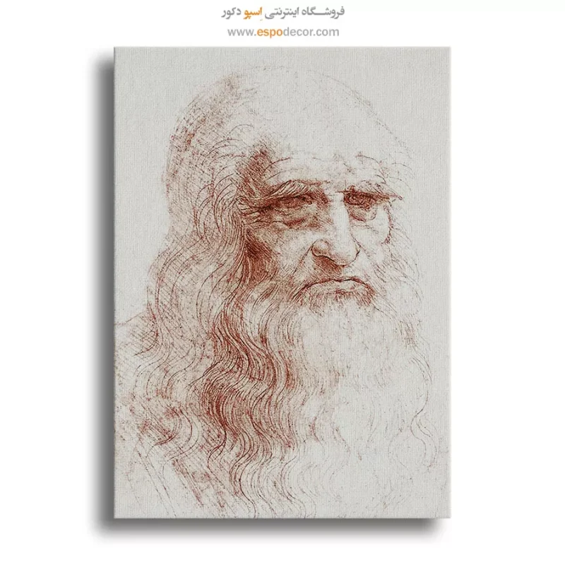 خرید تابلو مینیمال چهره هنری برای پذیرایی