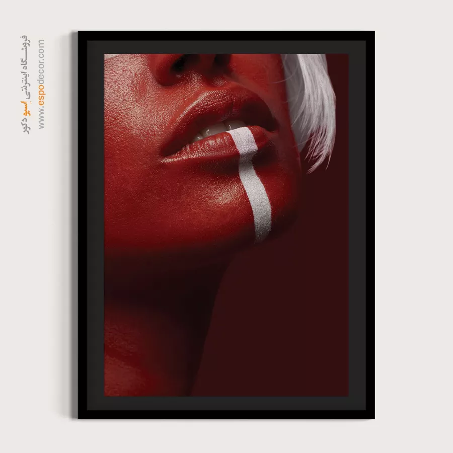 خرید تابلو دکوراتیو چهره قابدار برای اتاق کار - پارسی – تابلو چهره - اسپو دکور