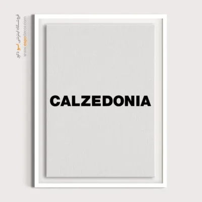 تابلو لوگو های معروف – CALZEDONIA - اسپو دکور