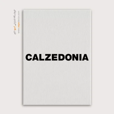 تابلو لوگو های معروف – CALZEDONIA