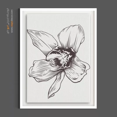 خرید تابلو گل ارکیده - ارکیده تک‌شاخه – تابلو گل - اسپو دکور