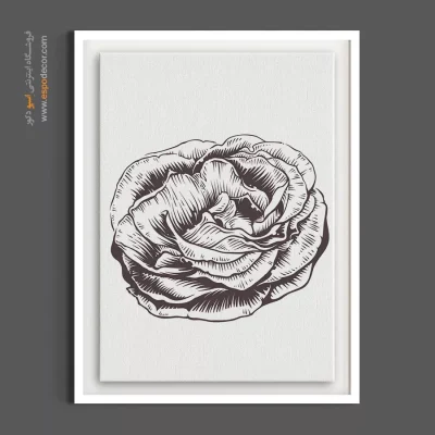 تابلو گل مدرن - پیونی سیاه قلم – تابلو گل - اسپو دکور