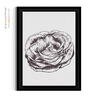 تابلو گل مدرن - پیونی سیاه قلم – تابلو گل - اسپو دکور