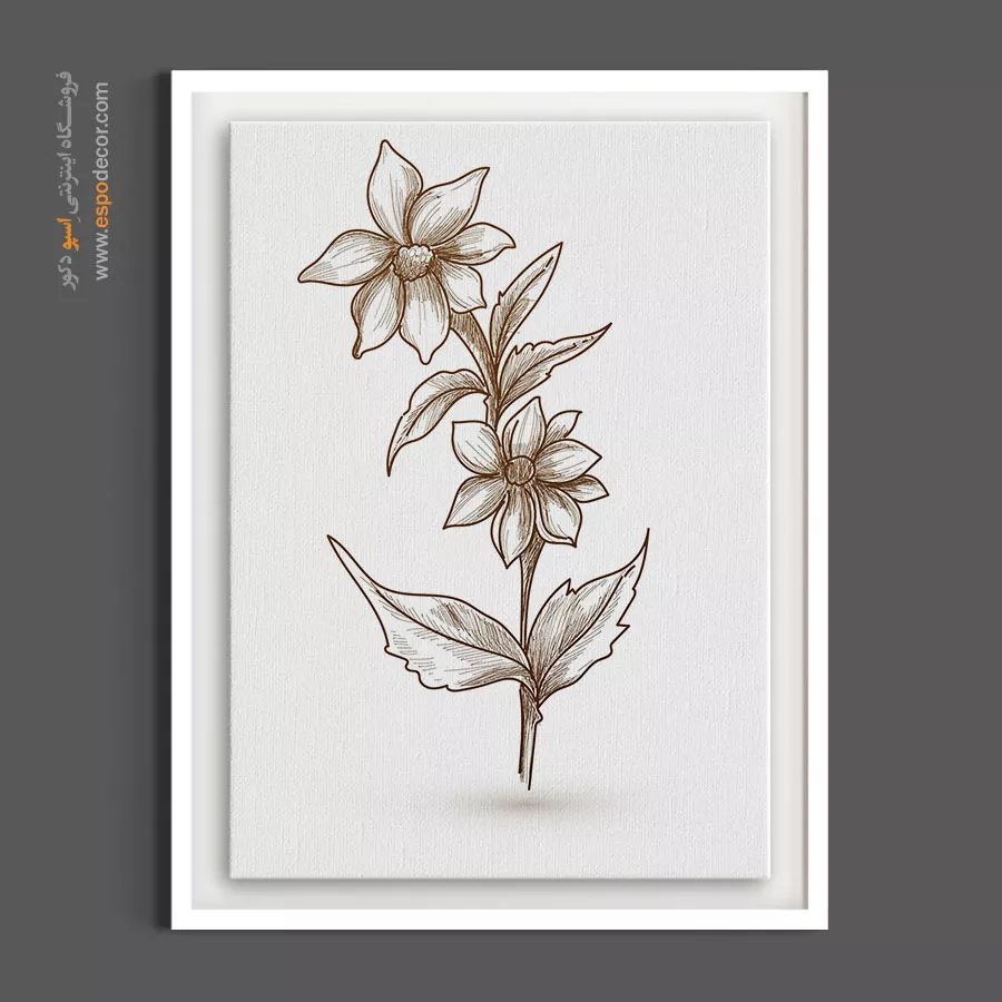 نقاشی گل کوکب - ستارهای وحشی – تابلو گل - اسپو دکور