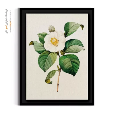 تابلو گل سفید - کاملیا بوتانیکال – تابلو گل - اسپو دکور