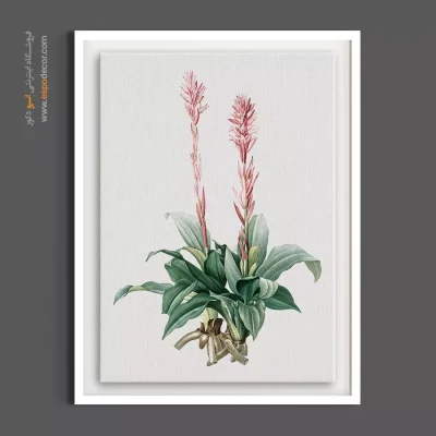 تابلو گل ارکیده وحشی - سنبل وحشی – تابلو گل - اسپو دکور