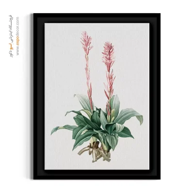 تابلو گل ارکیده وحشی - سنبل وحشی – تابلو گل - اسپو دکور