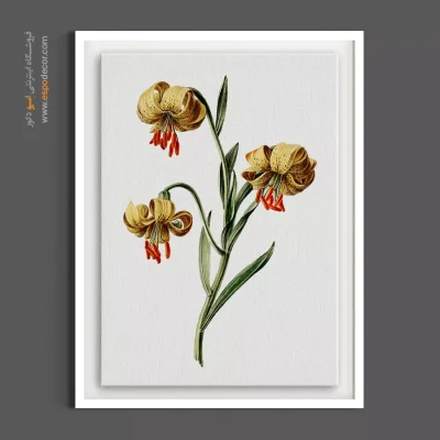 تابلو گل لیلیوم خاص - لیلیوم خالدار – تابلو گل - اسپو دکور