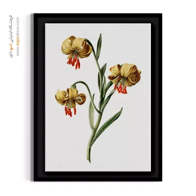 تابلو گل لیلیوم خاص - لیلیوم خالدار – تابلو گل - اسپو دکور
