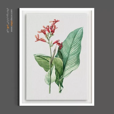 خرید تابلو گل اختر - اختر قرمز – تابلو گل - اسپو دکور