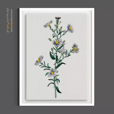 تابلو گل‌های وحشی - بابونه بنفش – تابلو گل - اسپو دکور