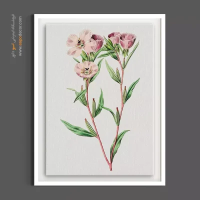 تابلو نقاشی گل صورتی - پامچال صورتی – تابلو گل - اسپو دکور