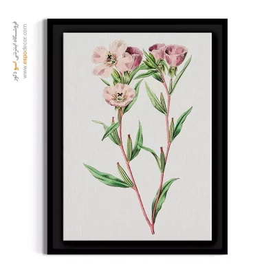 تابلو نقاشی گل صورتی - پامچال صورتی – تابلو گل - اسپو دکور