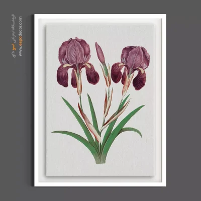 تابلو گل زنبق - زنبق‌های دوقلو – تابلو گل - اسپو دکور