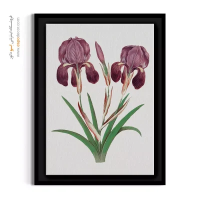 تابلو گل زنبق - زنبق‌های دوقلو – تابلو گل - اسپو دکور